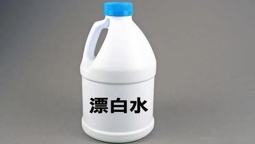 家中有寵物，如何選擇環境清潔及消毒用品？這3種消毒用品一定要注意